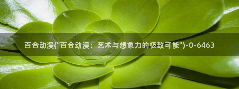 黑猫动漫