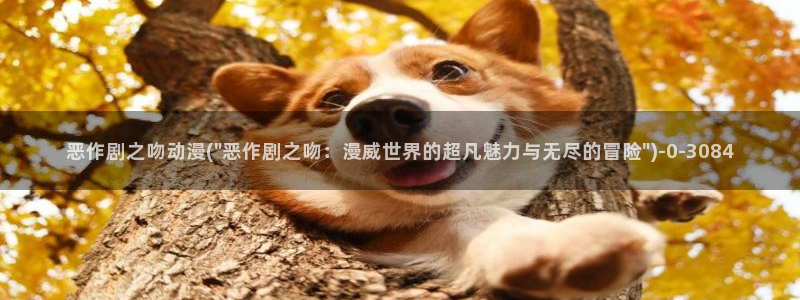 成人动漫网站